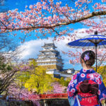 asian woman wearing japanese traditional kimono looking at cherr